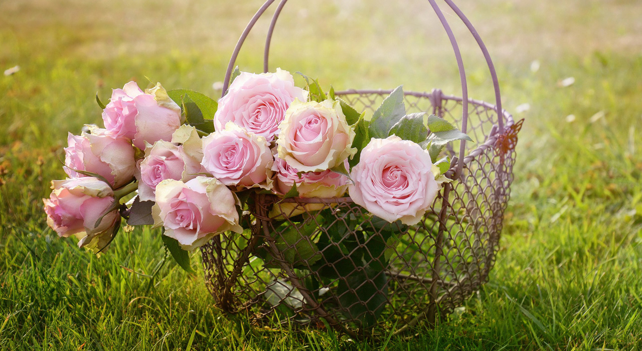 バラをワンランクおしゃれにする植木鉢をご紹介 バラを気軽にはじめるための心得も 植木鉢ナビ