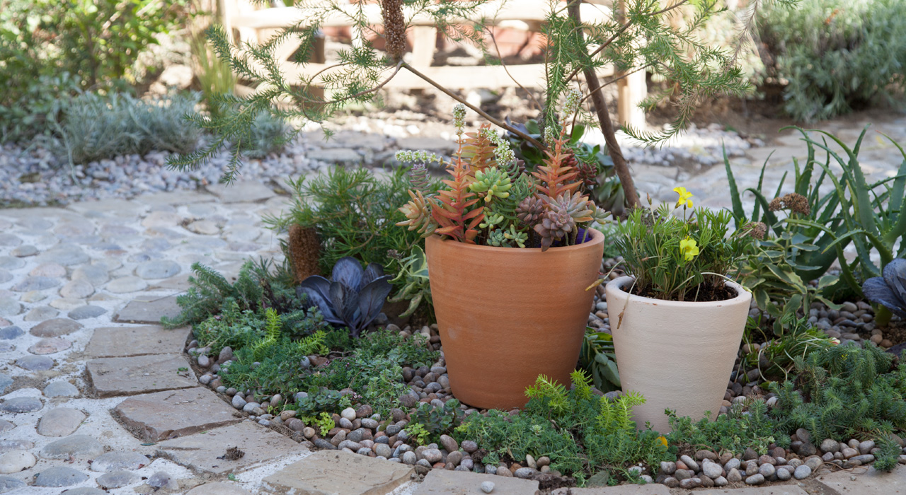 植木鉢でミニガーデン 小さな庭にもなる植木鉢とは 植木鉢ナビ