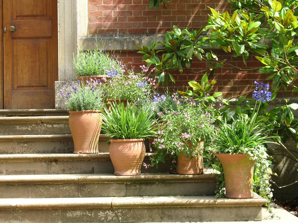 玄関周りをグリーンで飾る 素敵な玄関を演出する植木鉢をご紹介 植木鉢ナビ