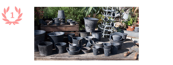 ハオルチアにぴったりな植木鉢5選 基本の植えかえ方法も 植木鉢ナビ
