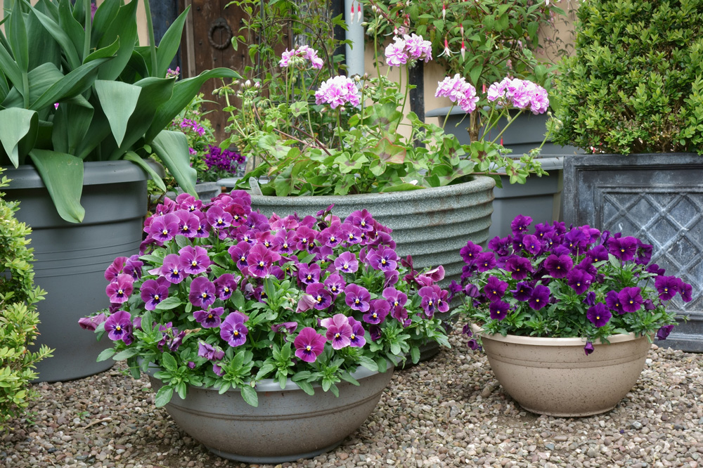植木鉢でミニガーデン 小さな庭にもなる植木鉢とは 植木鉢ナビ
