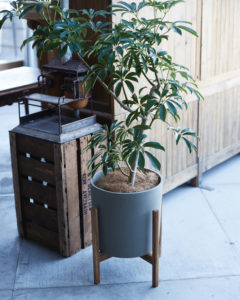 Gardening Tip For January グリーンが見違えるほど素敵に！ポットスタンドの魅力、再発見 | 植木鉢ナビ