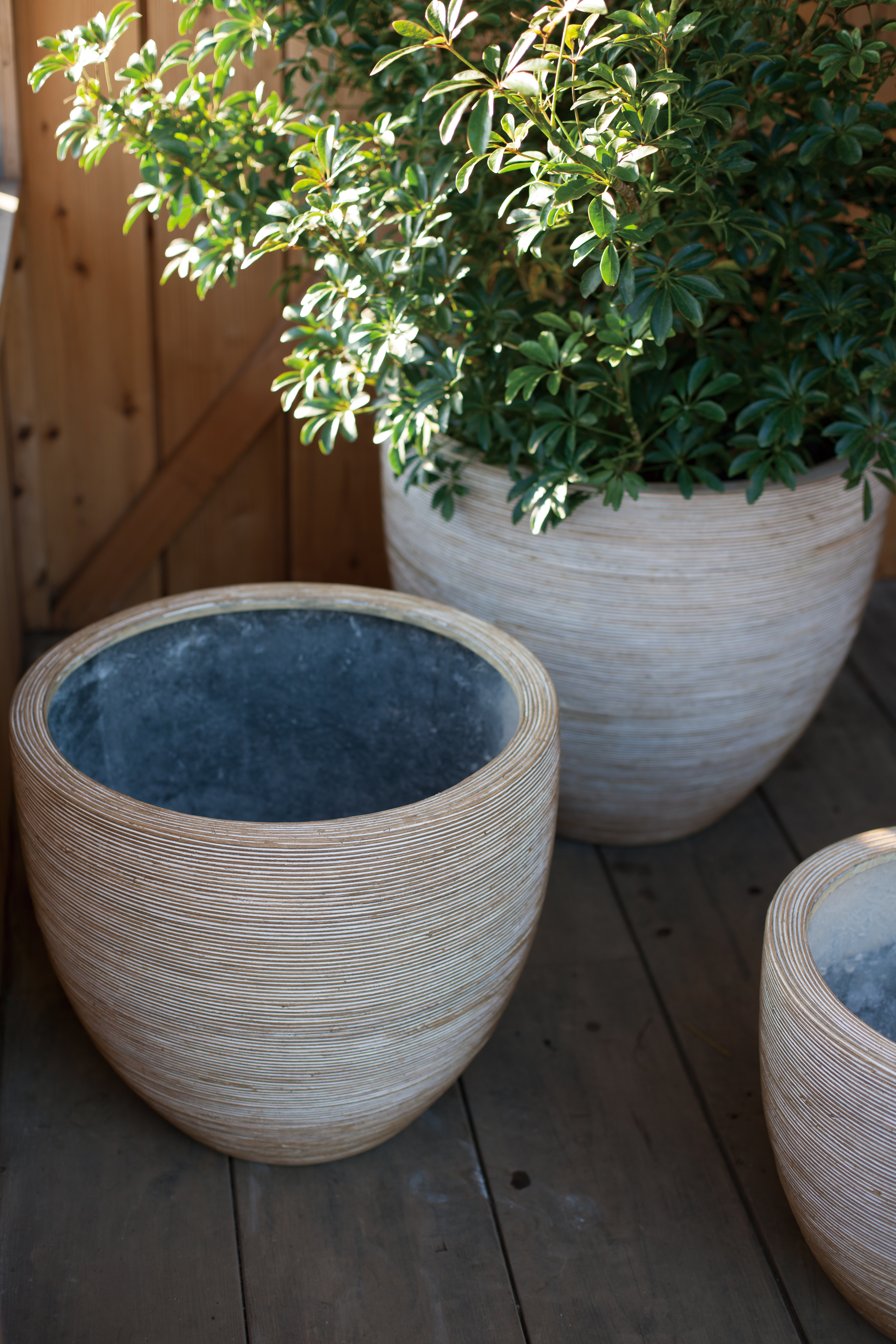 アジアンテイストにぴったな植木鉢をご紹介 アジアンテイストを上手に取り入れるコツも 植木鉢ナビ