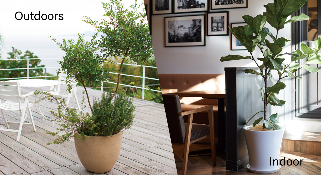 玄関・庭用の植木鉢、室内観葉植物用の植木鉢の選び方 | 植木鉢ナビ